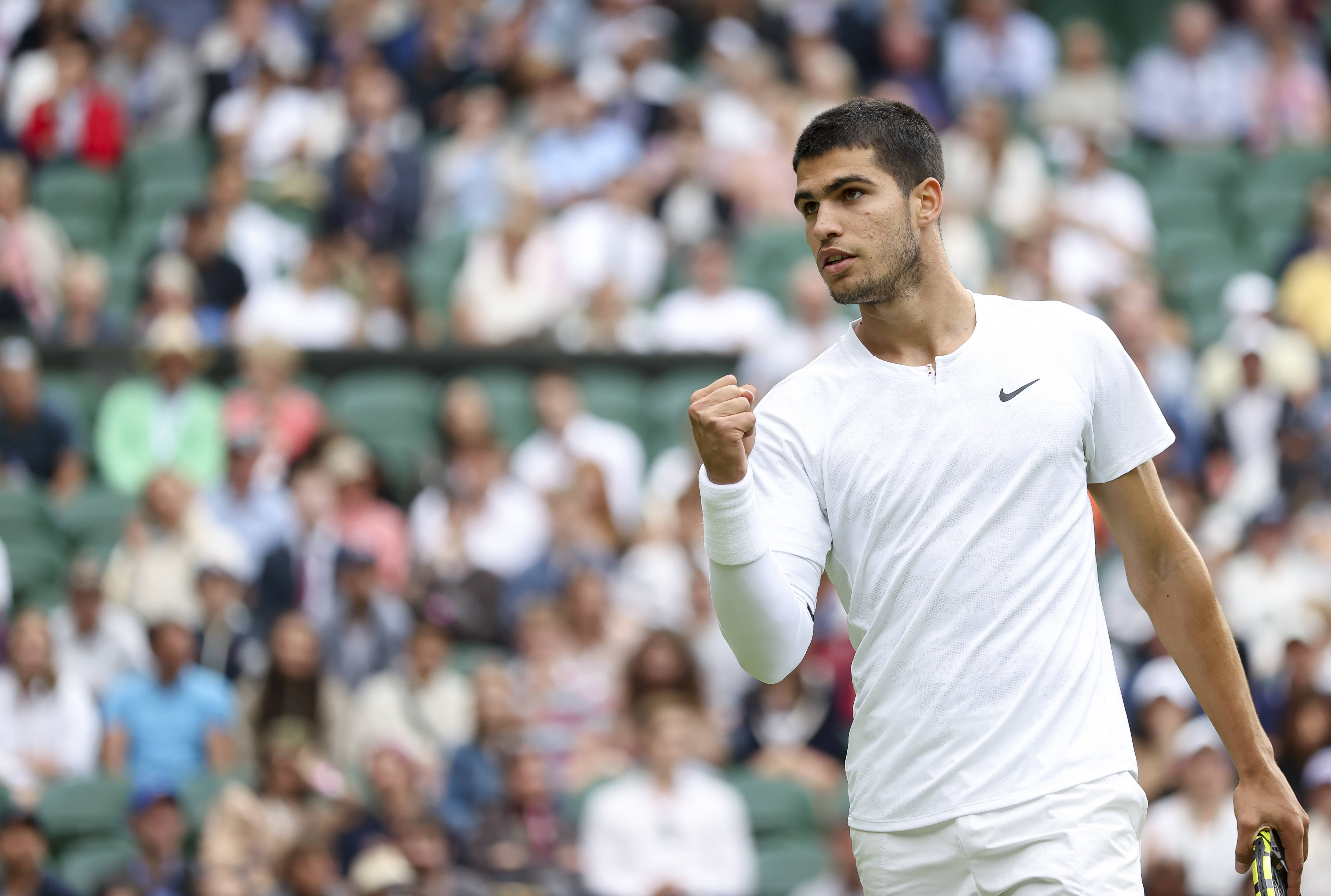 望和顽强的 望和顽强的