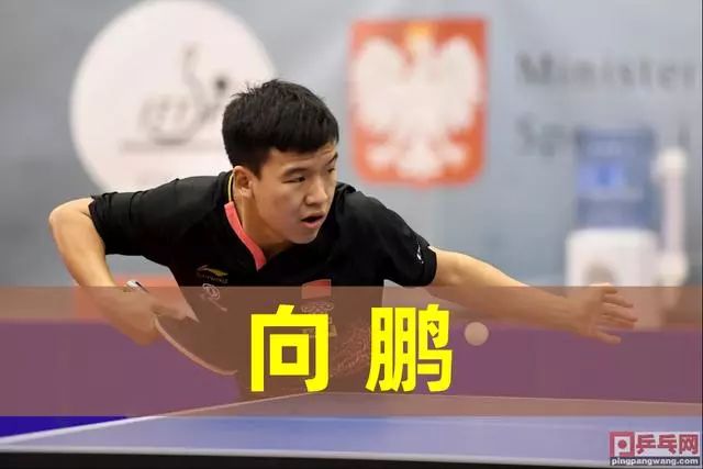 联盟与KO